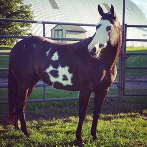 Meet your Posher, Selena